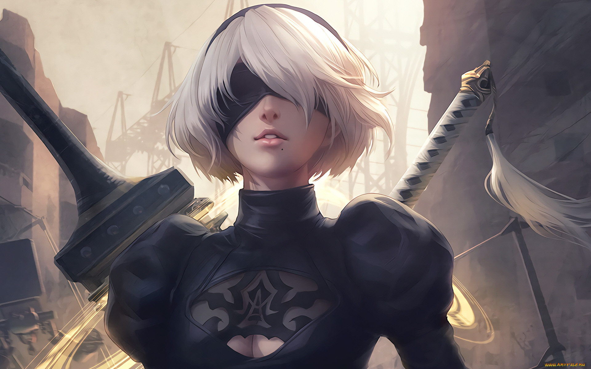  , nier,  automata, automata